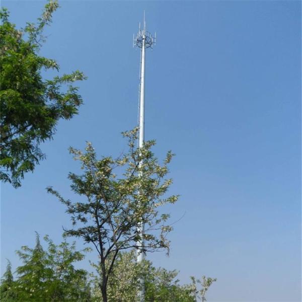 Plataformas de escalada exteriores do degrau dois das torres Monopole da telecomunicação
