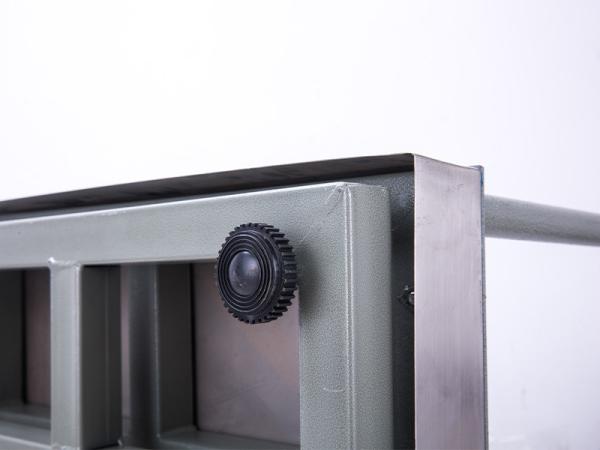 Báscula electrónica de acero inoxidable personalizable de 500 kg con barandilla