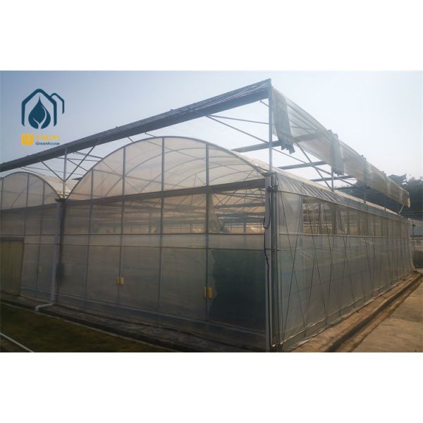 External Sunshade Net Multi Span Greenhouse with Motorized Black Shade Screen WELLGAIN Agricultural Greenhouse Solution
