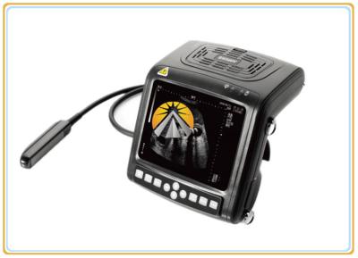 Horse Digital Wrist Top Ultrasound Scan Machine Compact Design 256 Frames Cine
