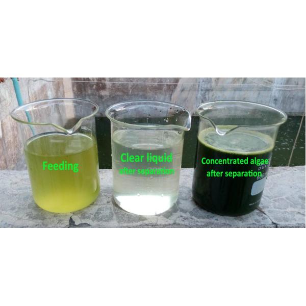 Непрерывное постное масло разделителя центрифуги диска для хлореллы Spirulina морской водоросли