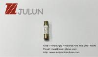 fusibles en céramique à retard de temps de tube de 600V 500V 5x20mm