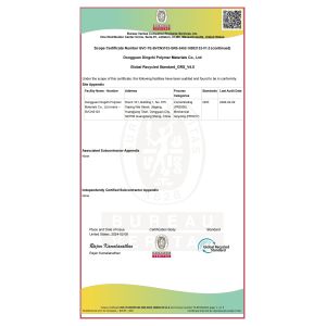 Dongguan Dingzhi polymer materials Co., LTD Сертификации