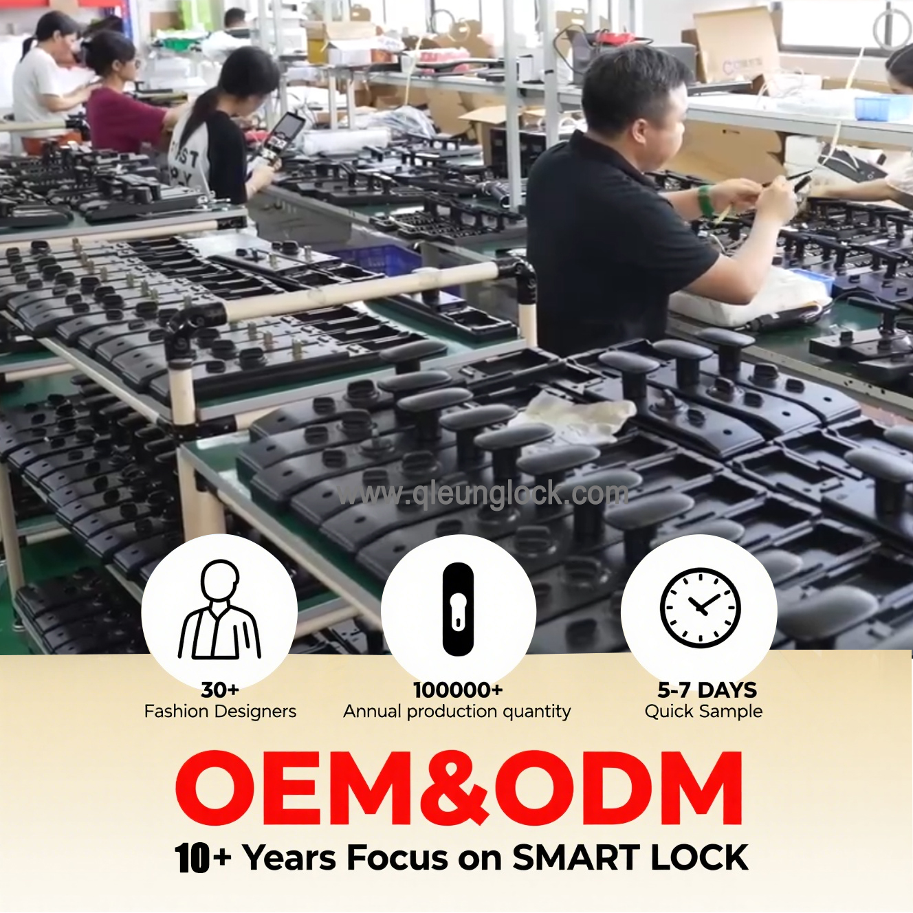 Dongguan Qleung Electronic Co., Ltd.