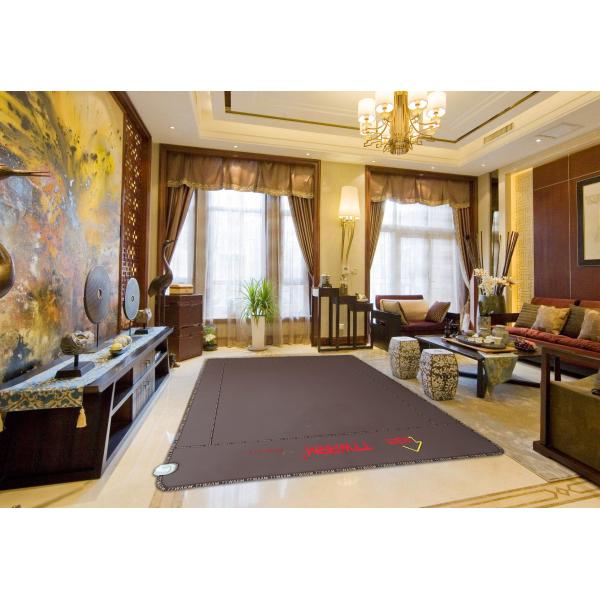 Multifunction Carbon Fiber Far Infrared Mattress Pad Physical Education Toxin