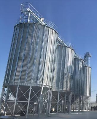 Maximize Your Operation's Cost-Effectiveness with Our Steel Grain Silo Budget Tailored Solutions