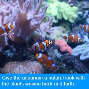 Direct Plastic Double Head Aquarium Water Pump Wave Making