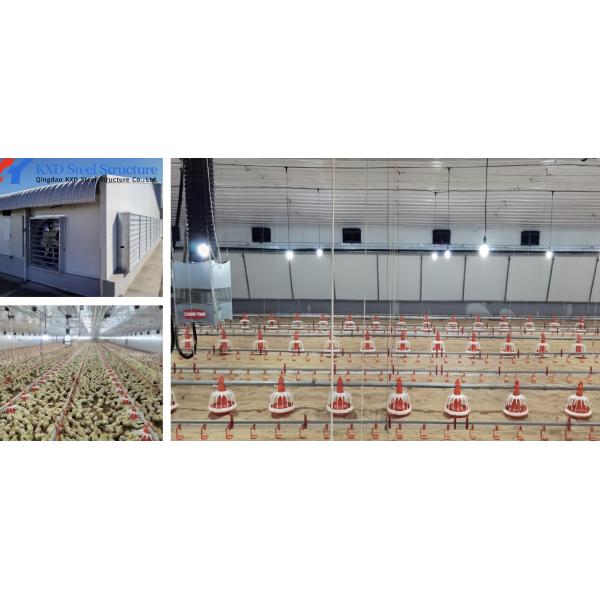 KXD Broiler Poultry Equipment Automatic Poultry Farm Plastic Slatted Flooring