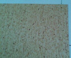 ISO9001 600 X 600mm Multilayer PVC Flooring Tiles for school, hospital, office building