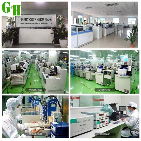 2835 SMD LED Chip 6500K 250LM/W High Efficiency 50000Hrs Lifespan for Grow Plant Light