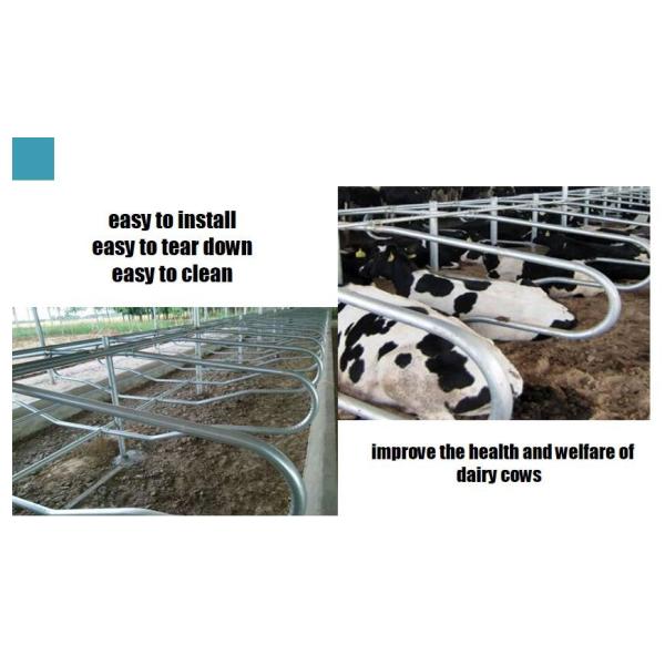 Животный одиночный тип свободная труба горячего погружения амбара стойла гальванизированная