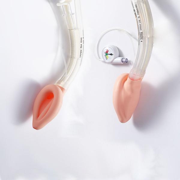 Las vías respiratorias laríngeas LMA de emergencia para el drenaje del esófago con monitor de presión intracorpión