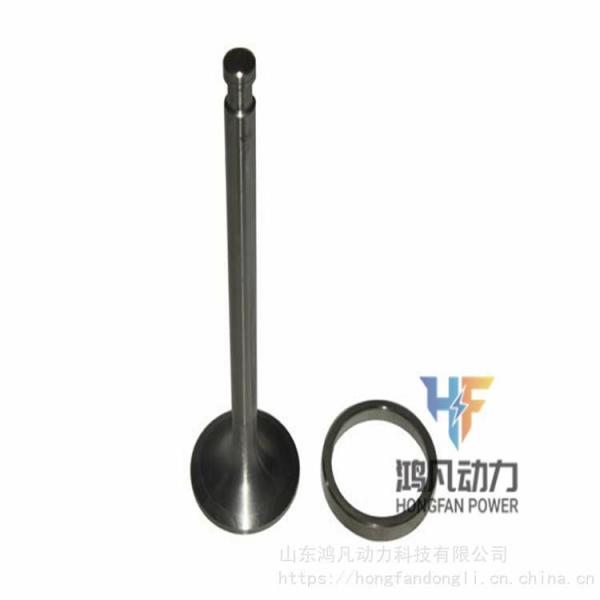 Jichai Chidong 190 Series Engine Parts for Intake Valve and Exhaust Valve 12VB. 03.22