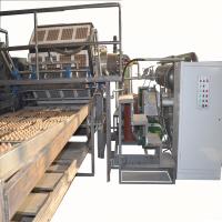 La chaîne de production automatique de plateau d'oeufs de pulpe de papier, fabricant de carton d'oeufs facile fonctionnent