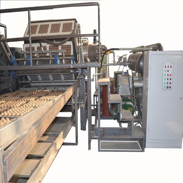 Paper Egg Tray Fruit Tray 4000pcs Pulp Molding forming machine