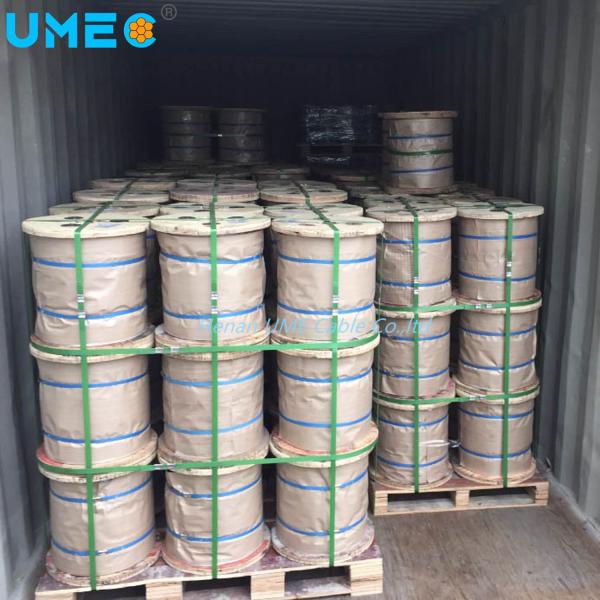 7/8 Swg 7/4.06mm Galvanized Steel Strand Wire for Stay Wire/Guy Wire without Sheath