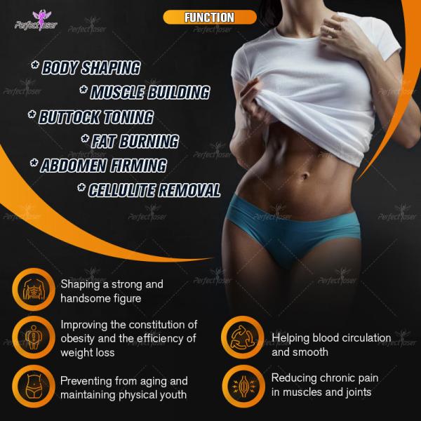 Массажер для похудения тела с 4 ручками EMS Body Sculpting Machine 12 Tesla