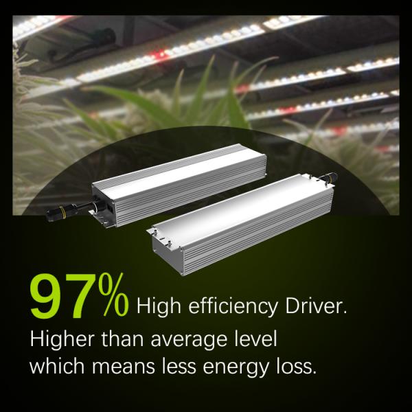 ETL 600W 720W 800W Светодиодная лампа полного спектра для выращивания растений 2,8 µMol/S/W
