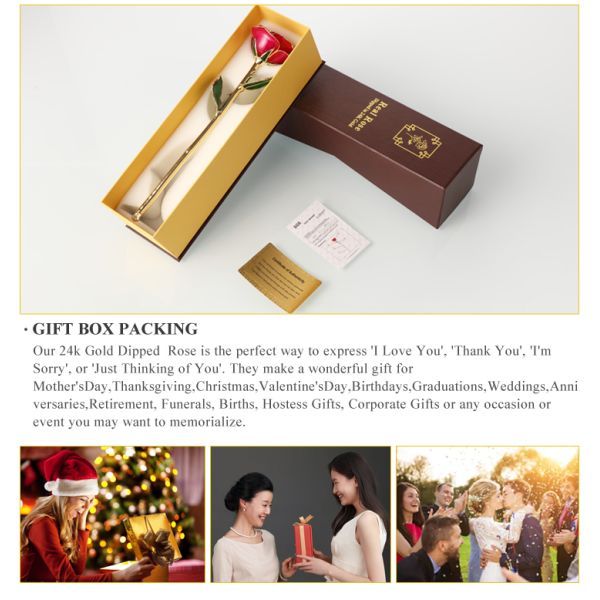 Wholesale  Gold Real Rose 24k Gold Plated Real Natural Rose for Valentine's Day and Christmas Gifts