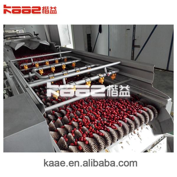 Fully automatic Dates Processing Machine CE jujube deep processing production line