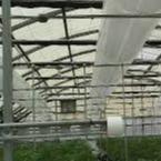Tubulação de aço galvanizada mergulhada quente Q195 Q235 SS400 DN15 DN40 de A53 EN10210