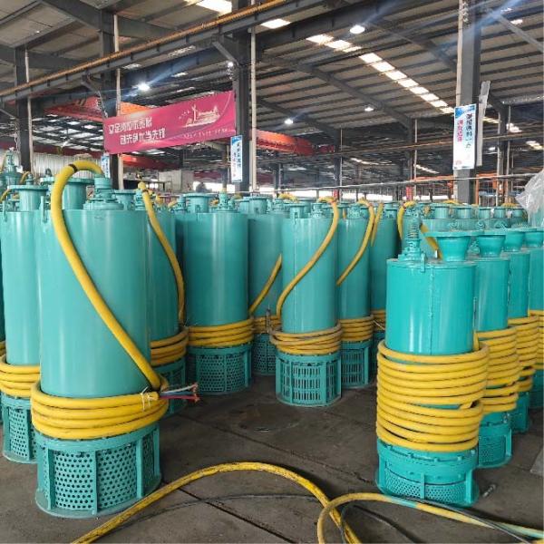 1.5kw-7.5kw Versatile Portable Submersible Pump For Drainage Irrigation  And Emergency Water Extraction