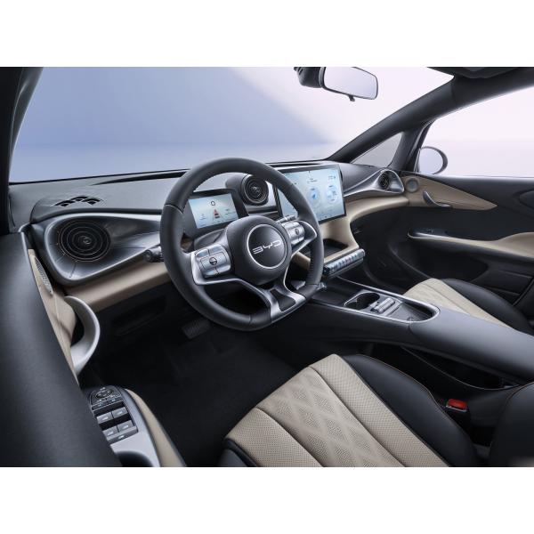 Дельфин полностью электрические хэтчбекные автомобили 5-местные литий-железофосфатные батареи