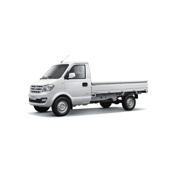 C31 C32 Small Cargo Truck 900 Kg Loading Capacity Light Cargo Truck With Single Cabin