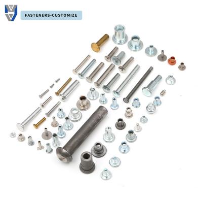 Custom screws Solid hollow half hollow flat head half round head rivet step rivet