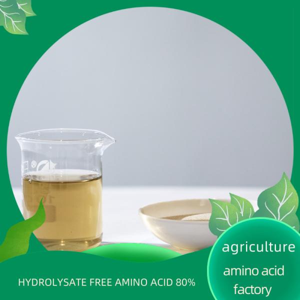 A proteína Hydrolyzed S80% livre do ácido aminado do adubo orgânico do nitrogênio baseou cloretos livres
