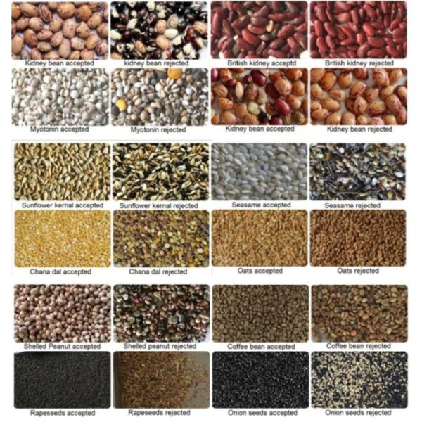 10 rampas desperdiçaram os canais plásticos da máquina de classificação 640 da cor