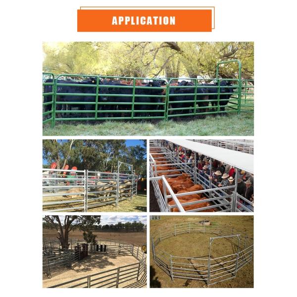 Livestock Galvanized 1650mm Horse Corral Fencing
