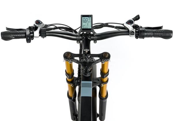 500W 750W 1000W Folding Fat Tire Electric Mountain Bike Aluminum Alloy Frame