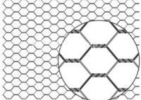 Galvanizado PVC revestido de fios de galinha 20 g/m2-60 g/m2 revestido de zinco resistente à ferrugem