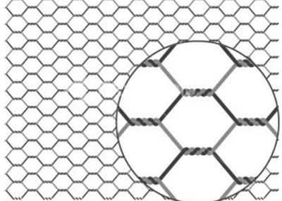 Galvanizado PVC revestido de fios de galinha 20 g/m2-60 g/m2 revestido de zinco resistente à ferrugem
