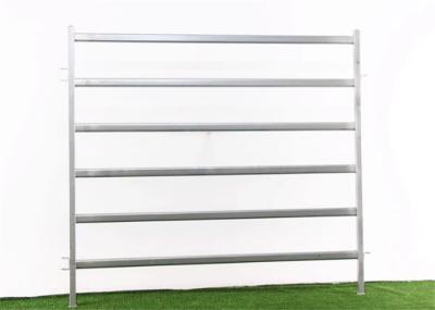 Australian Standard Steel Pipe Cattle Yard Panels 1.8 * 2.1 M For Livestock