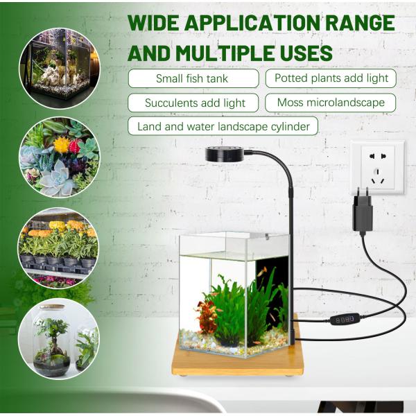 Bamboo Board Aquarium LED Grow Light For Fish Tank Micro Landscape