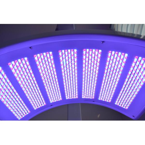 Salon Spa Use Led Red and Blue Light Therapy Heating Acne Infrared for Facial Treatment