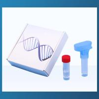 Coleção Kit For Diagnostic Testing da saliva do ADN de ISO13485 NMPA