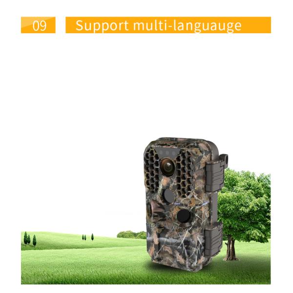 4k IR LED Night Vision Outdoor Wildlife Camera , Security Digital Trail Camera