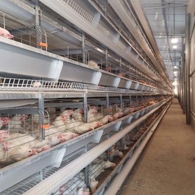Hot Galvanized 4 Tiers 72 Birds Battery Chicken Cage Newest Design