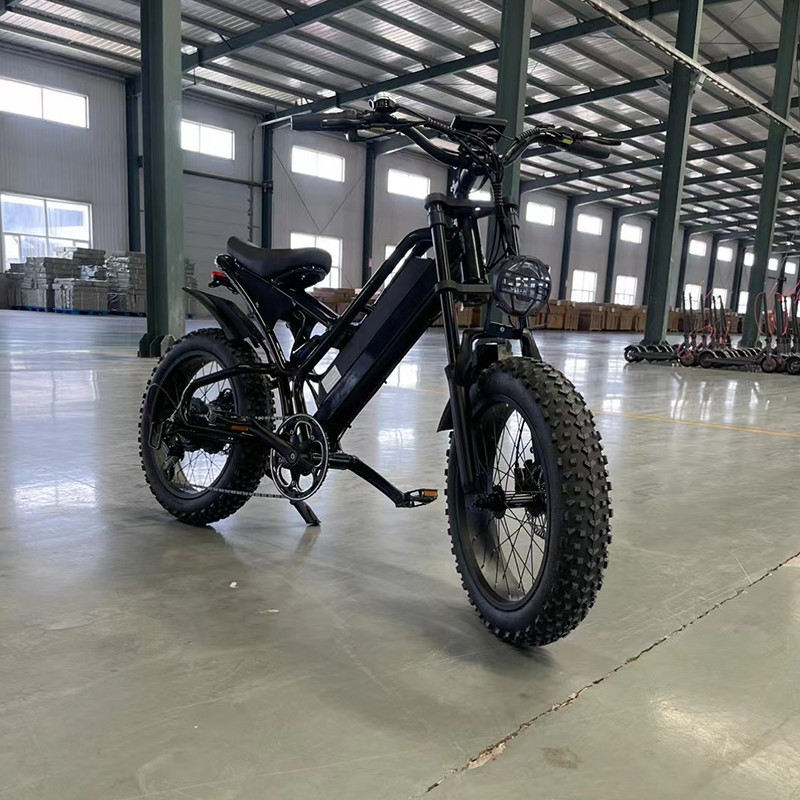 14 Inch 2024 Electric Mountain Bike Bicycle 48v 500w Battery Capacity 15.6Ah with Powerful Disc Brake and Rear Wheel