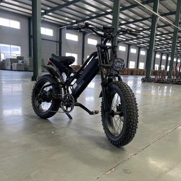 20 Inch Wheel  Urban Bike Commuting Fatbikes with Rechargeable Large Capacity Battery 1000w Motor