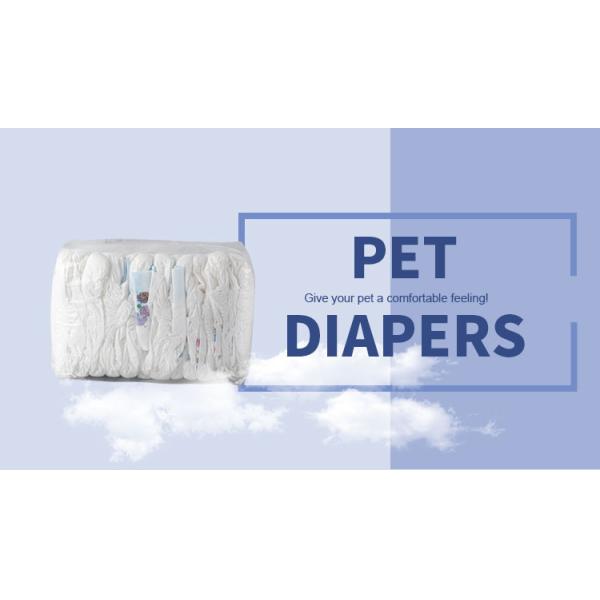 ISO9001 A Grade Non Woven Topsheet Disposable Pet Diapers For Dogs