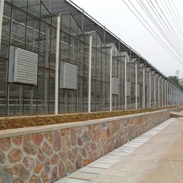 Advanced Glass Modern Greenhouse For Optimal Light Transmission And Heat Preservation