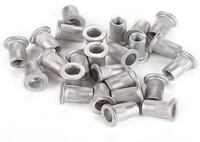 M14 M16 Stainless Steel SS304 SUS 304 316 Small Flat Head Serrated Rivet Nuts