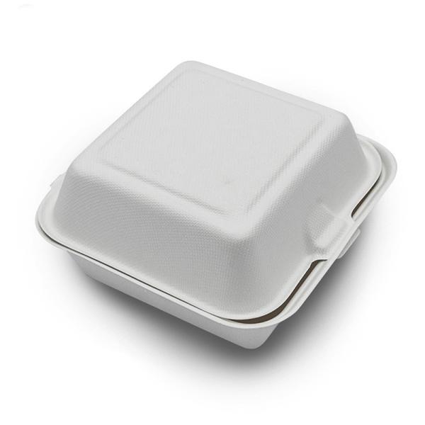 Takeout Food Box Customized Request for 100% Compostable Disposable Bagasse Lunch Box