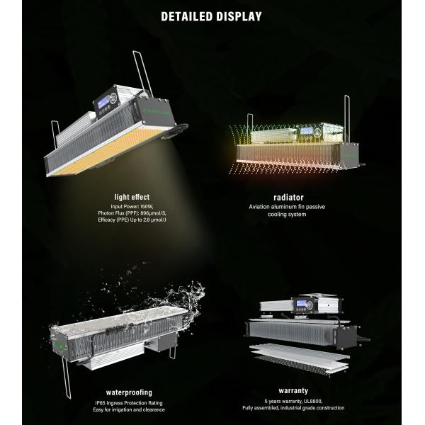 OEM 320w LED Toplighting Lumière de croissance toute l'année plantes médicales lumières de croissance