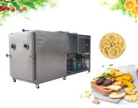 Un compresor más seco 10m2 100kg SUS304 de Bizter de la máquina de helada de las verduras de raíz