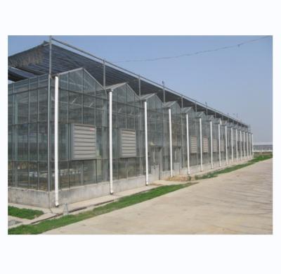 Grande estufa agrícola com estrutura de aço galvanizado e sistema de refrigeração opcional
